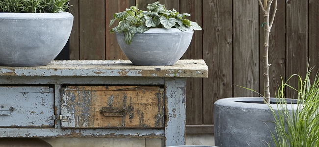 Trädgård och utemiljö