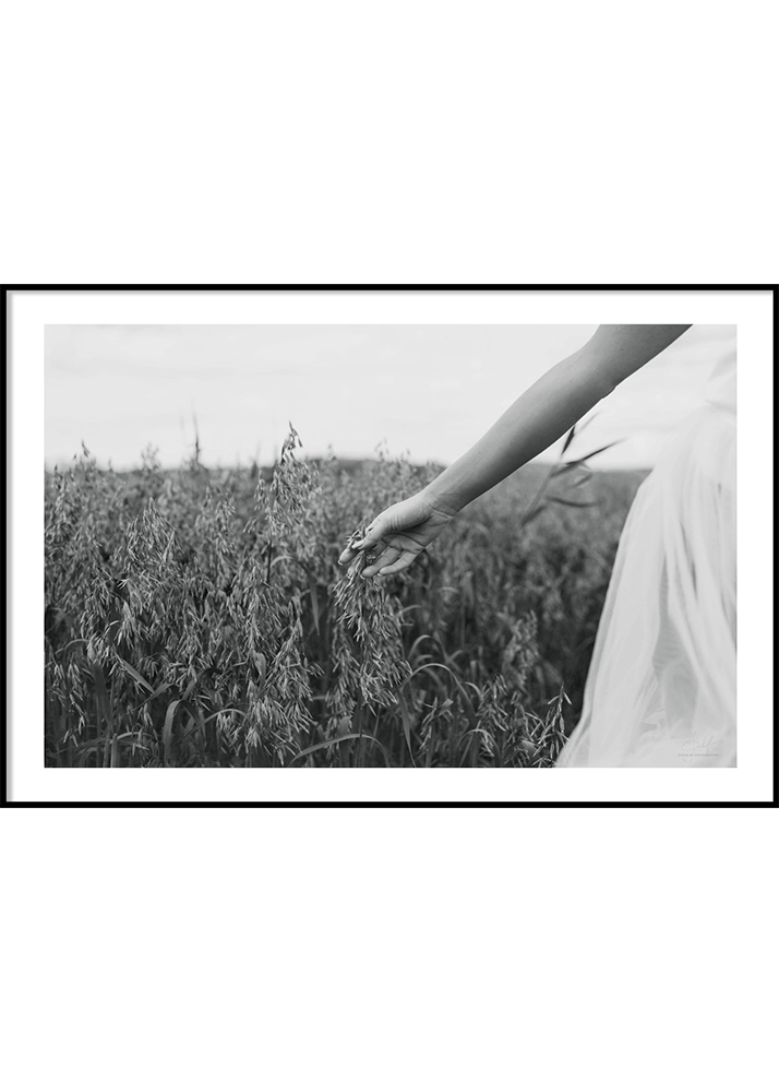Meadow poster 50x70