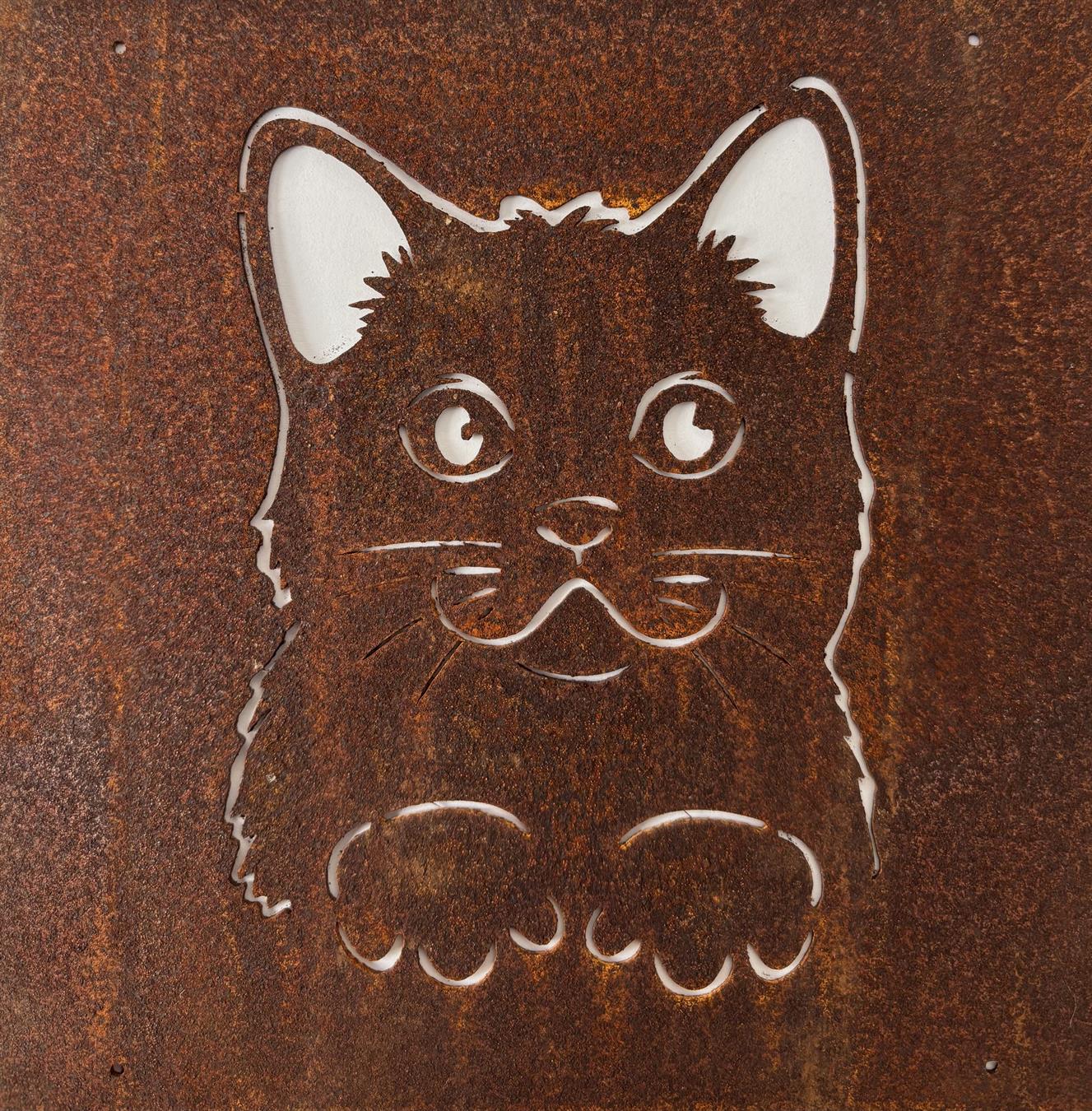 katt ameringsnät