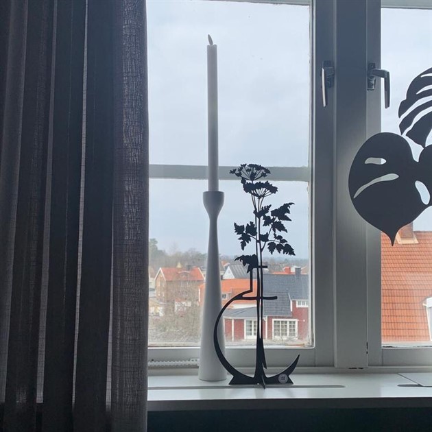 Hundkex svart plåt 2